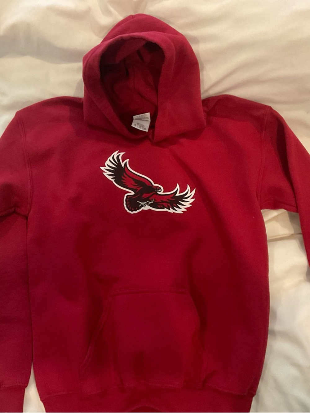 St. Joseph’s University Hawks Youth hoodie